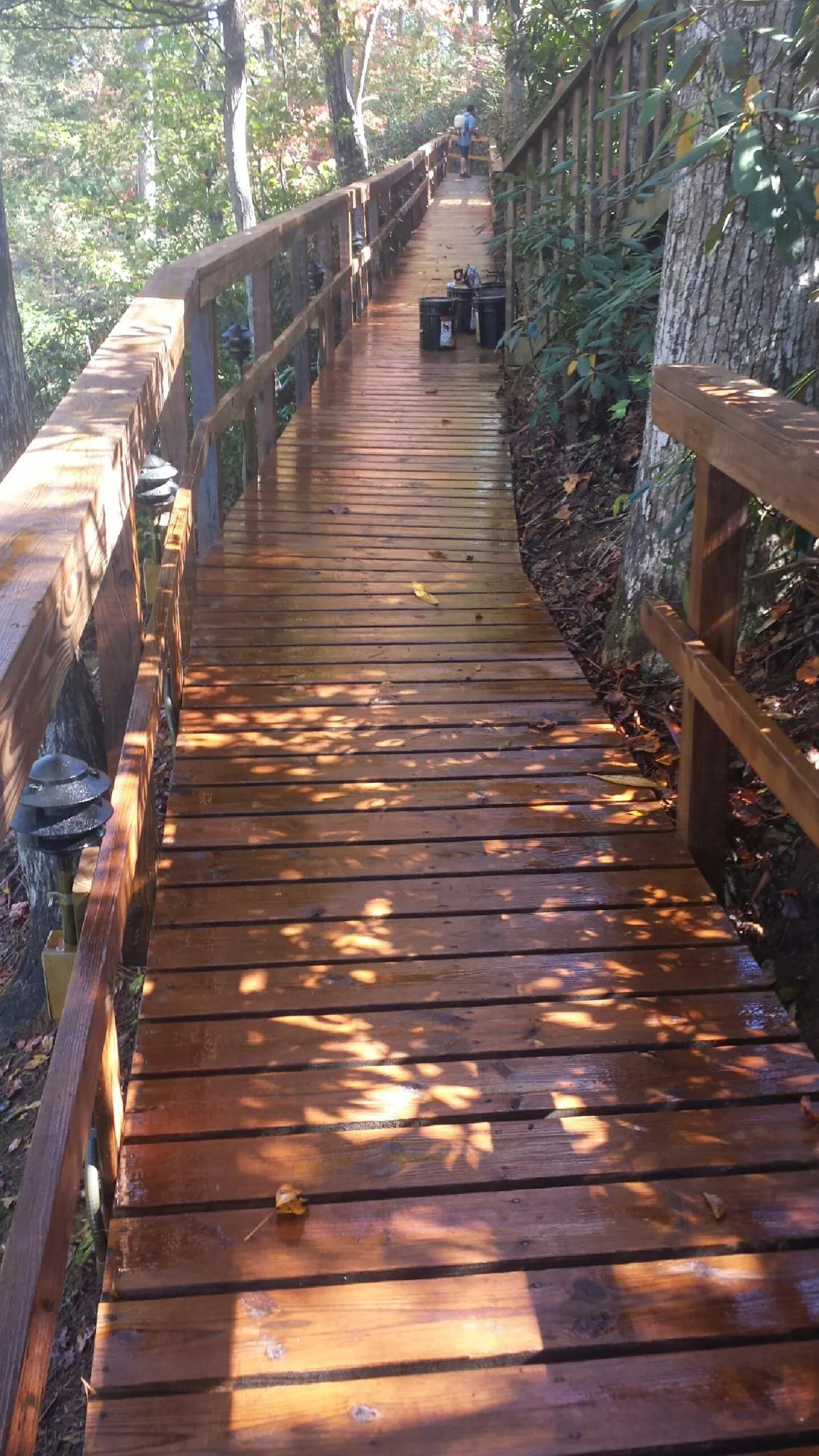 Freshly stained wood walkway winding through the woods in Alden