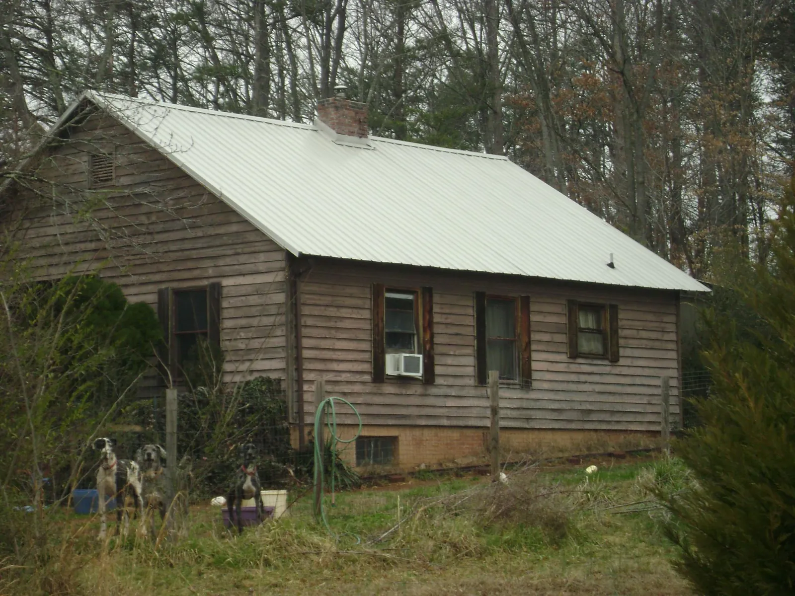 White metal roof on an old wood sided farmhouse, from a Asphalt Shingle Roof Repair job in Alden